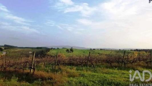 Vente Terrain BOMBARRAL 2540