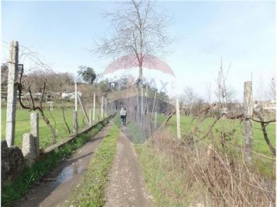 Vente Terrain BRAGA 4700