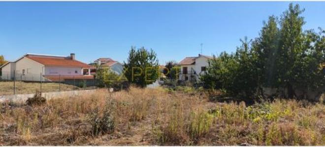 Vente Terrain BRAGANCA 5300