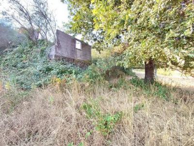 Vente Terrain CABECEIRAS-DE-BASTO 4860