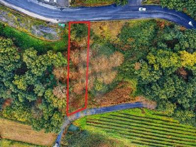 Vente Terrain CABECEIRAS-DE-BASTO 4860