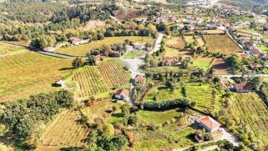 Vente Terrain CABECEIRAS-DE-BASTO 4860