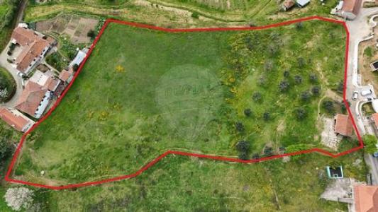 Vente Terrain CABECEIRAS-DE-BASTO 4860