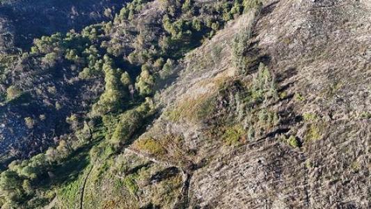 Vente Terrain CABECEIRAS-DE-BASTO 4860