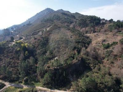 Vente Terrain CABECEIRAS-DE-BASTO 4860