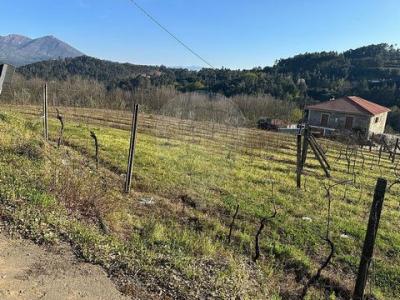 Vente Terrain CABECEIRAS-DE-BASTO 4860