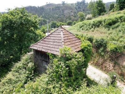 Vente Terrain CABECEIRAS-DE-BASTO 4860
