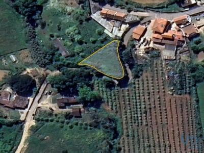 Vente Terrain CADAVAL 2550