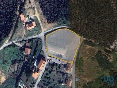 Vente Terrain CADAVAL 2550