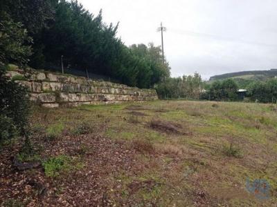 Vente Terrain CADAVAL 2550