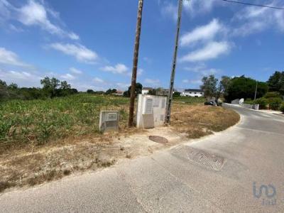 Vente Terrain CADAVAL 2550