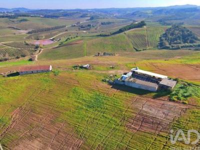 Vente Maison CADAVAL 2550