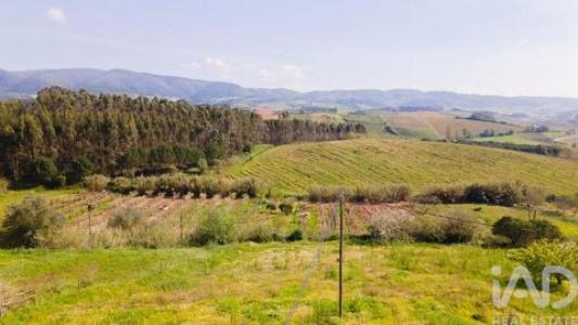 Vente Terrain CADAVAL 2550