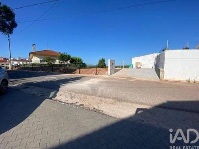 Vente Maison CADAVAL 2550