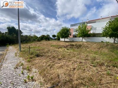 Vente Terrain CALDAS-DA-RAINHA 2500