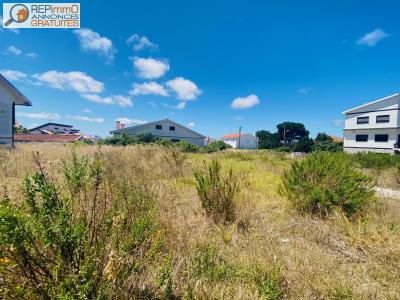 Vente Terrain CALDAS-DA-RAINHA 2500