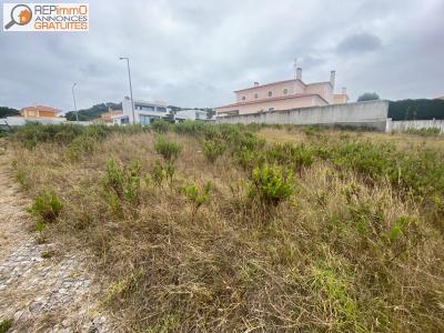 Vente Terrain CALDAS-DA-RAINHA 2500