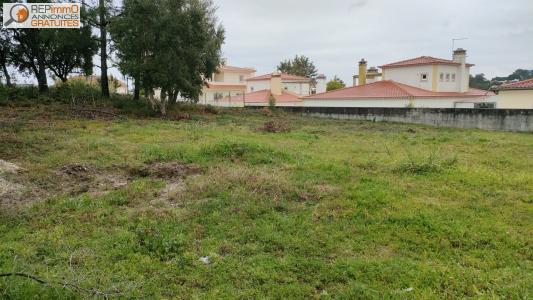 Vente Terrain CALDAS-DA-RAINHA 2500