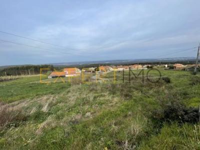 Vente Terrain CALDAS-DA-RAINHA 2500