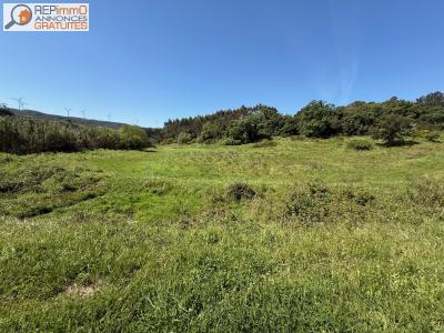 Vente Terrain CALDAS-DA-RAINHA 2500