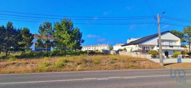 Vente Terrain CALDAS-DA-RAINHA 2500