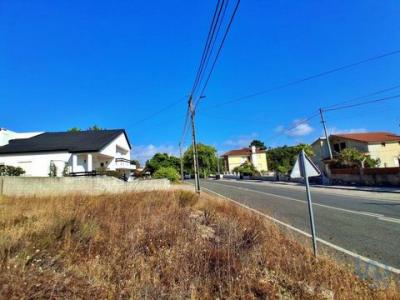 Vente Terrain CALDAS-DA-RAINHA 2500