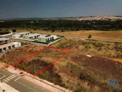 Vente Terrain CALDAS-DA-RAINHA 2500