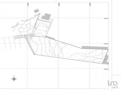 Vente Terrain CALDAS-DA-RAINHA 2500