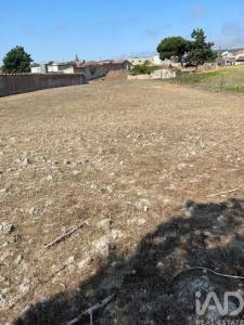 Vente Terrain CALDAS-DA-RAINHA 2500