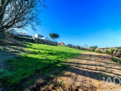 Vente Terrain CALDAS-DA-RAINHA 2500