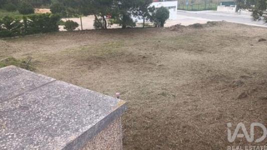 Vente Terrain CALDAS-DA-RAINHA 2500