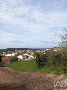 Vente Terrain CALDAS-DA-RAINHA 2500