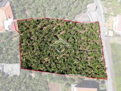 Vente Terrain CALHETA 9370