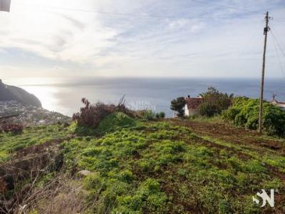 Vente Terrain CALHETA 9370