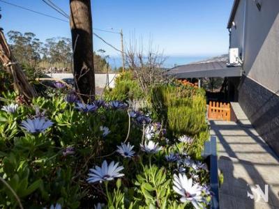 Vente Maison 2 pi�ces CALHETA 9370