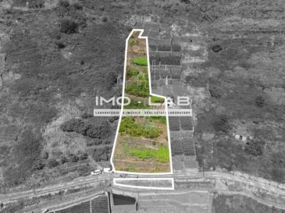 Vente Terrain CAMARA-DE-LOBOS 9300