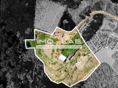 Vente Terrain CAMARA-DE-LOBOS 9300