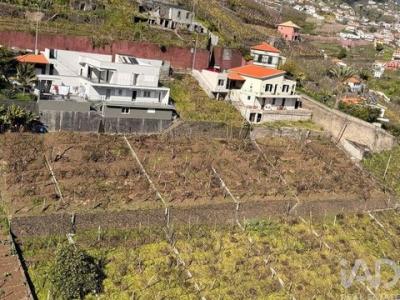 Vente Terrain CAMARA-DE-LOBOS 9300