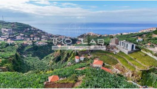 Location Appartement CAMARA-DE-LOBOS 9300