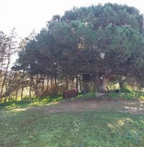 Vente Terrain CAMPELOS 2565