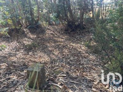 Vente Terrain CAMPELOS 2565