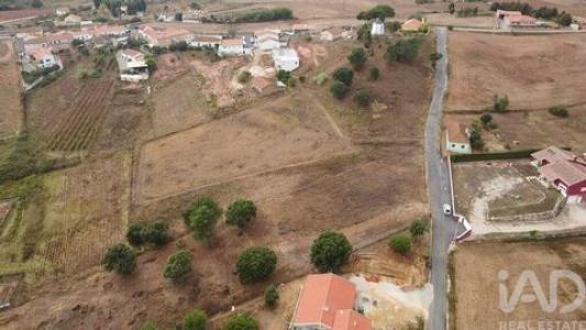 Vente Terrain CAMPELOS 2565