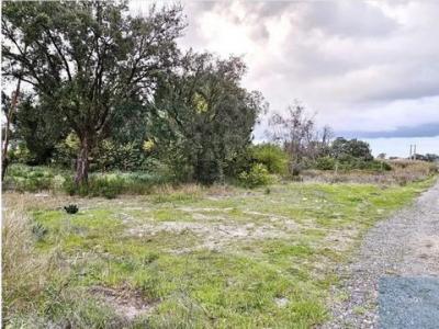 Vente Terrain CANHA 2985