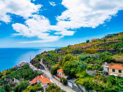 Vente Terrain CANHAS 9360