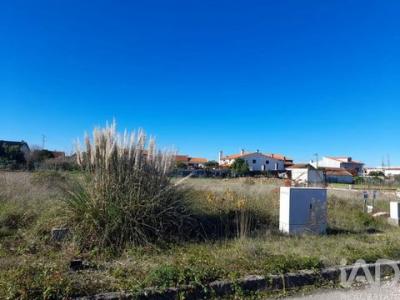 Vente Terrain CANTANHEDE 3060