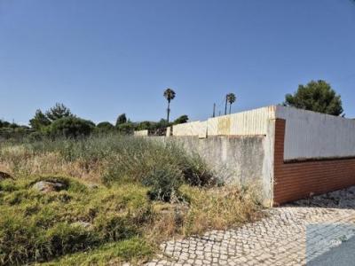 Vente Terrain CASCAIS 2750