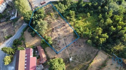 Vente Terrain CASTANHEIRA-DE-PERA 3280