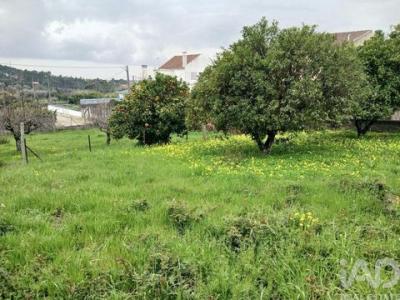 Vente Terrain CASTELO-BRANCO 5200