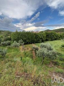 Vente Terrain CASTELO-BRANCO 5200
