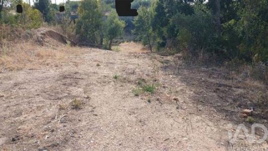 Vente Terrain CASTELO-BRANCO 5200